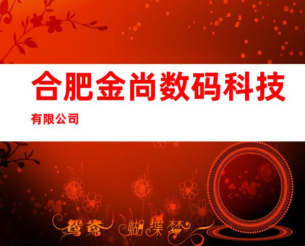 合肥金尚数码科技有限公司