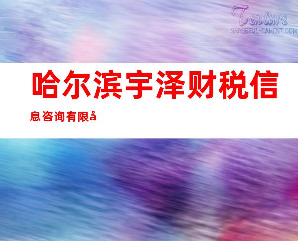 哈尔滨宇泽财税信息咨询有限公司