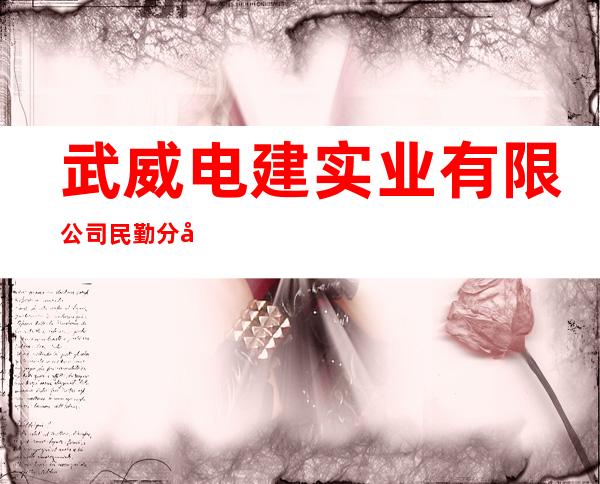 武威电建实业有限公司民勤分公司